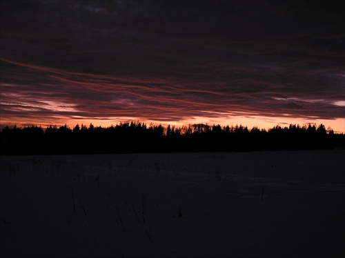 rxi_12875_m.jpg